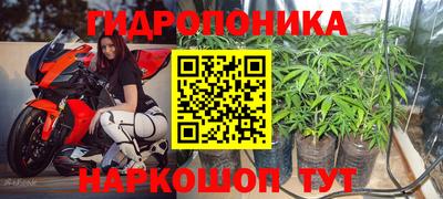 каннабис Кингисепп